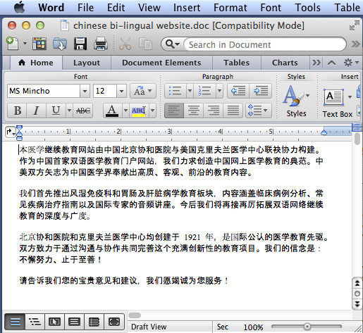image of chinese text in a Microsoft Word document