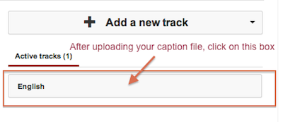 click the Add New Track button to add your caption file